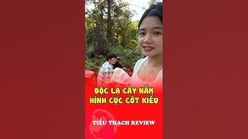 Độc lạ cây nấm hình cục cớt kiểu #shorts