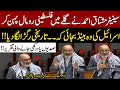 Senator Mushtaq Ahmed&#39;s Fiery Speech on Israel &amp; Palestine in Parliament | Wearing Palestinian Scarf
