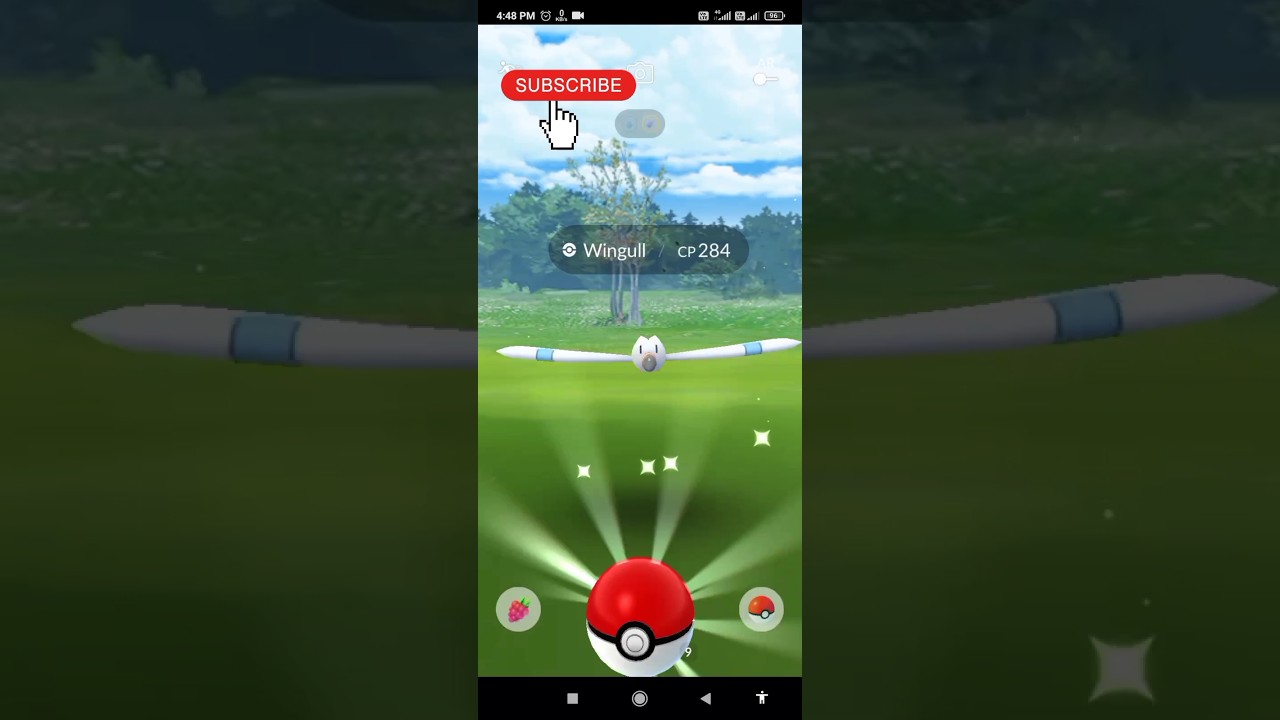 100iv wingull caught 