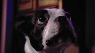 Feeding Time trailer