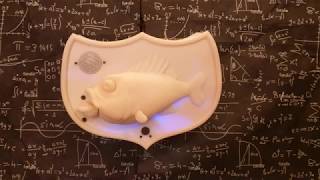 THE FISH - 6.08 Final Project | MIT Spring 2018