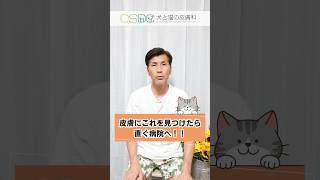 【美品】皮膚科のプライマリケア　犬と猫の皮膚病はどうやって診るの？ カラーアトラスBOOKS 犬と猫の皮膚病【和英併記】 (Color Atlas