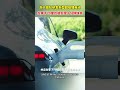 Tech Breakthroughs from Sci-Fi to Daily Life中科院「隱身術」與浙大超級鋰電池：從科幻到生活的科技突破