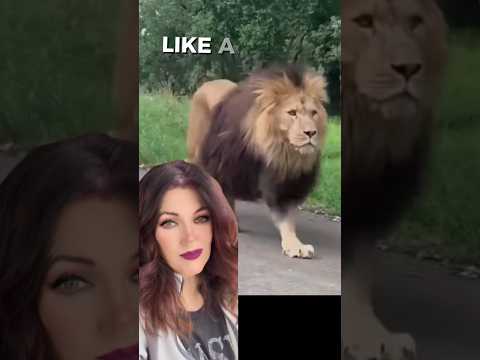 Walking Into 2024 Like 2024 Newyear Shorts 