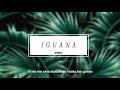 INNA - Iguana | Official Music Video | Lyrics Video