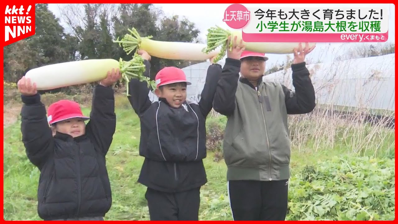 Some big ones weighing 4.5kg!] Children from Yushima, Kamiamakusa