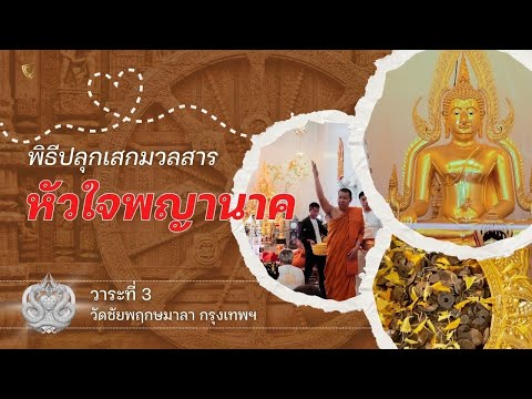 พิธีปลุกเสกมวลสารหัวใจพญานาค วาระที่ 3 วัดชัยพฤกษมาลา กรุงเทพฯ