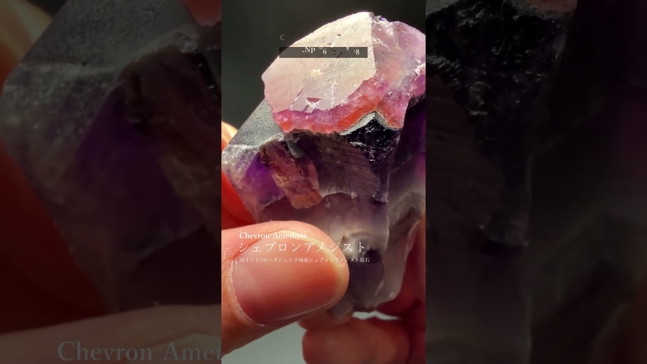 12/12新着情報インド直接買い付け！マハラシュトラ州産シェブロン