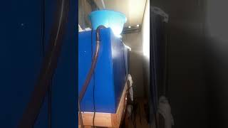 #aquarium #fishtank #wall #access