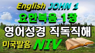 NIV 1