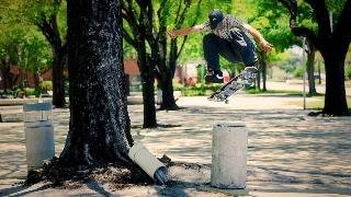 Vinyl Skateboards | Miami