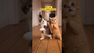 Joint trend 🐈🐈🐈😁 ‼️‼️ sc:ig @the.meow.moves #cat #dance #catshorts cats