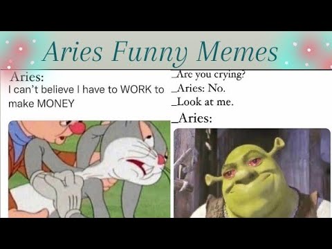 Aries memes? – Memes Feel