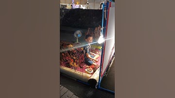 Shadow Puppet Master: This Kid is Amazing!