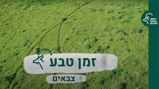 זמן טבע: פרק 3 - צבאים זמן טבע: פרק 3 - צבאים
