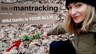 Bits Of Mantracking - How To Track In Spring
