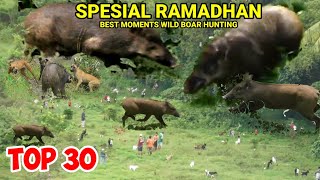 TOP 30 //BEST MOMENTS WILD BOAR HUNTING IN SUMATERA INDONESIA ‼️
