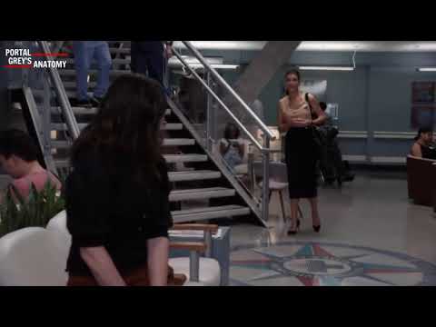 [LEGENDADO] Addison Montgomery e Amelia Shepherd se reencontram em Grey's. [18×03]