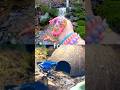 Toy Learning Fun | Kids Learn Animal Names at the Waterfall: Eagle Pig Axolotl Tiger Frog