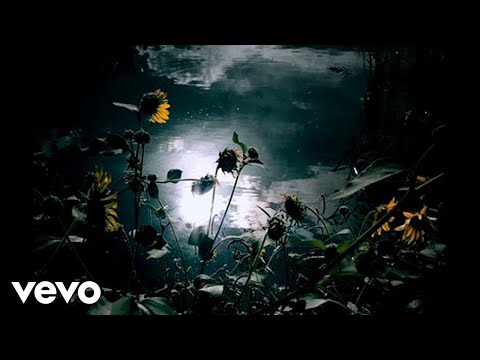 İlhan İrem - Dev Bir Çiçek mp3 indir