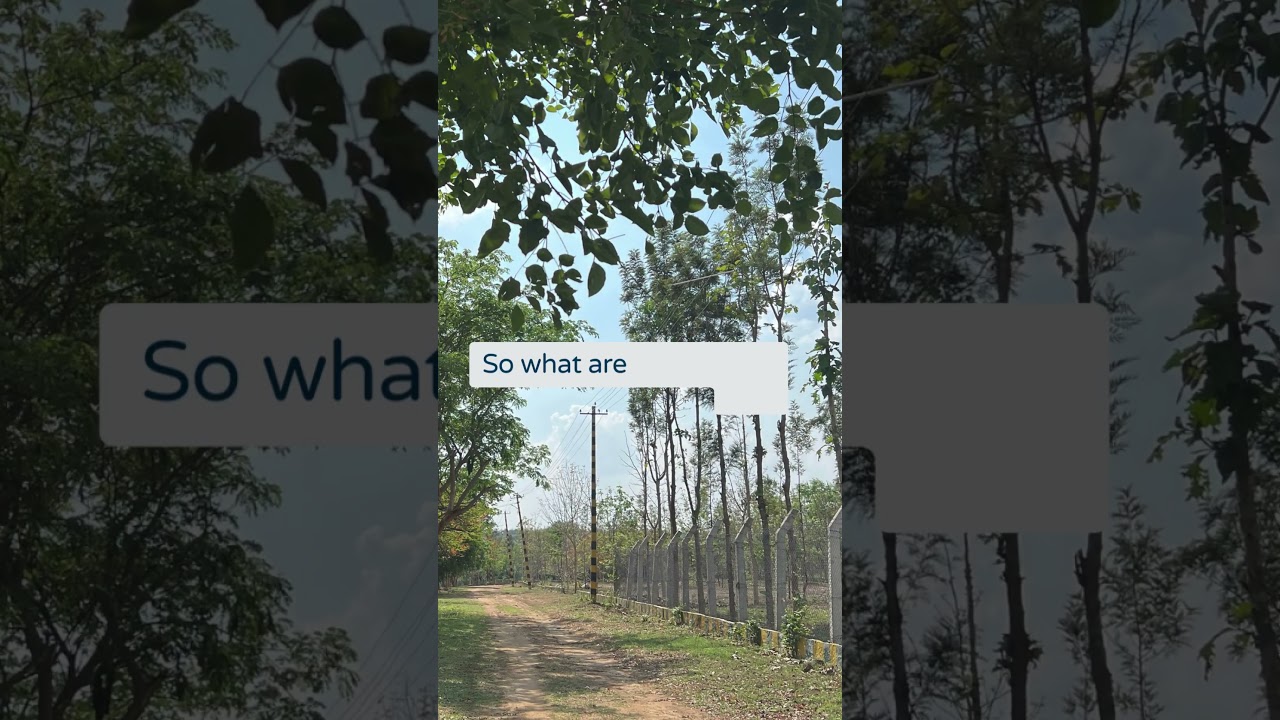 of gated community farmland project near hosur -  2024 - 5