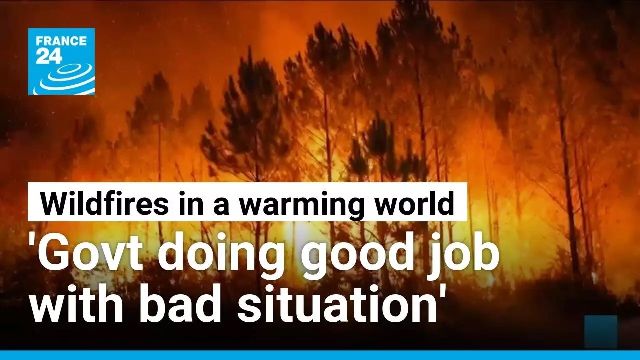 France's unprecedented wildfires: Convergence of climate change and historical landscape engineering