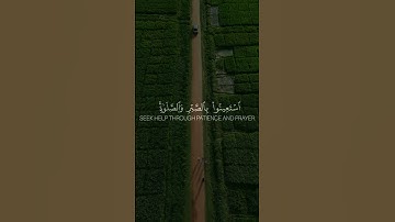 يأيها الذين آمنوا استعينوا بالصبر والصلاة إن الله مع الصابرين | تلاوة هادئة للشيخ عبدالباسط عبدالصمد