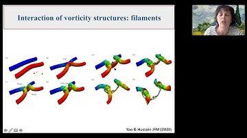 Fluid Mechanics Webinar Series: Dubrulle