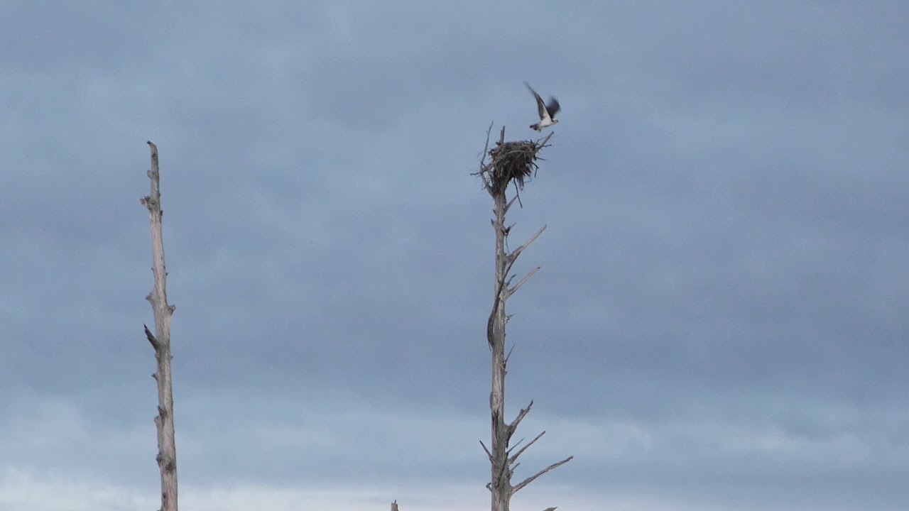 Teaser: Film maker Robert Cummins' GenX Documentary