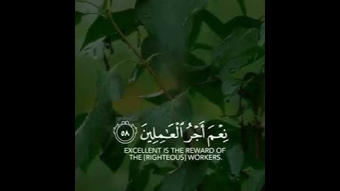 سورة العنكبوت الآيتان (58) وَ (59)