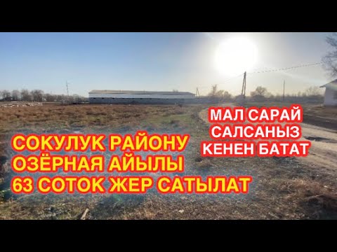 Video: Aniva Bay: жайгашкан жери, климаты, калкы, кызыктуу жерлери