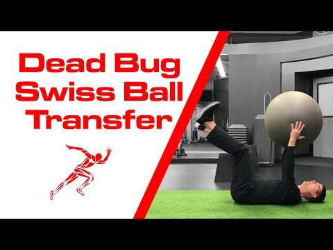 Dead Bug Swiss Ball Transfer Variation video thumbnail