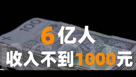 中国基尼系数过高？还不起房贷，6亿人收入1000？否定共产主义，是想为资本主义的剥削背书吗？ - 天天要闻