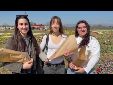 Video Primavera nella magia del tulipani nella fattoria di Nonno Andrea, a Villorba