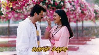Chhup Gaya | Hum Aapke Dil Mein Rehte Hai | Anil Kapoor | Kajol | Alka Yagnik | Udit Narayan