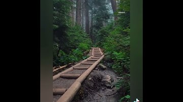 أذكار الصباح ، أفضل ما تبدأ به يومك بصوت هشام الهراز