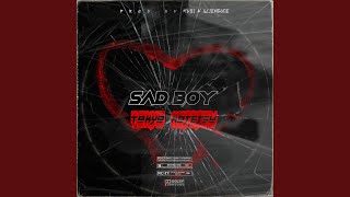 Download Lagu SAD BOY