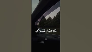 وقالوا الحمد لله الذي أذهب عنا الحزن 🤲 ❤️ القارئ #رعد_الكردي
