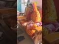 2 December 2025,#family #time #funny #video #ytshorts #viral #video #trending #post #subscribe