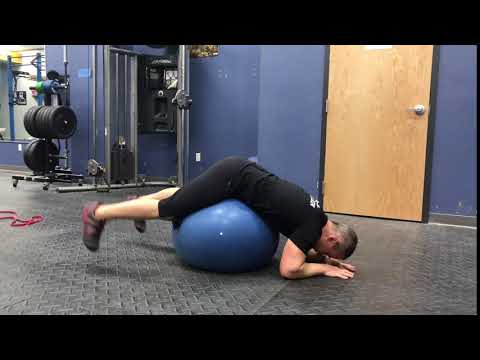 Stability-ball Reverse Hip Extension