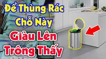 Âm Thầm Đặt Thùng Rác Ở Vị Trí Này Sau 1 Đêm Tiền Bạc Kéo Vào Ầm Ầm, Giàu Có Hết Phần Thiên Hạ
