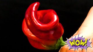 Перец 💥 острый красный - причуды природы (hot pepper).