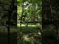 Why Nature Will Always Be In Style #trending #forest #Naturetrend #NatureTherapy #Peacetrend