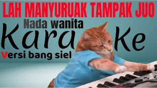 lah manyuruak tampak juo (karaoke HD) REMIXX 2023 nada wanita