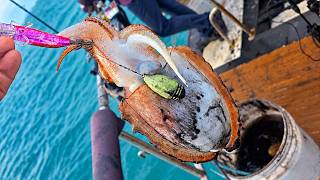 Cuttlefish fishing: Sometimes it's good to take the road less traveled. If it doesn't work out, y...