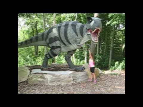 The Dinosaur Place 2013