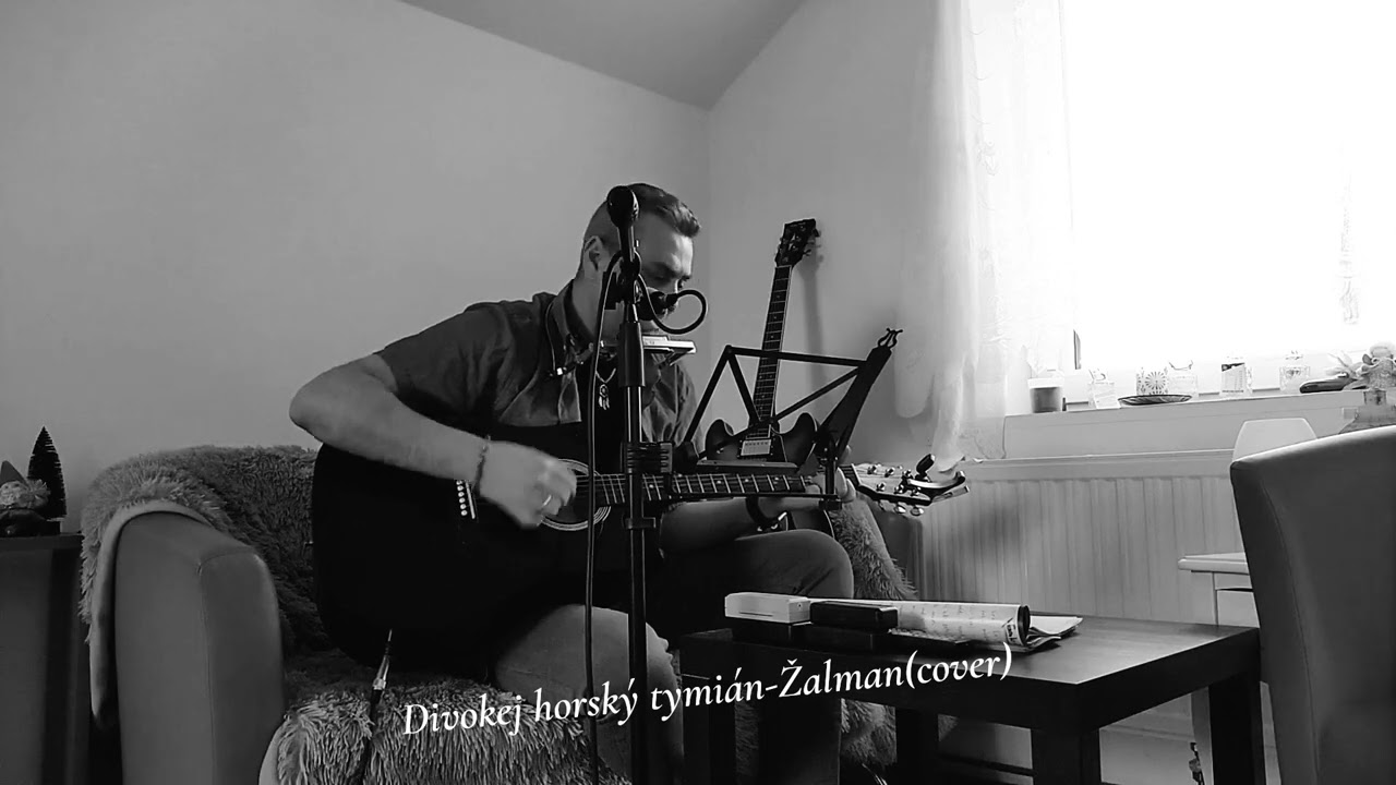 Žalman-Divoký horský tymián(cover)