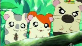 Hamtaro: Piccoli criceti, grandi avventure - Sigla iniziale italiana registrata su Italia 1