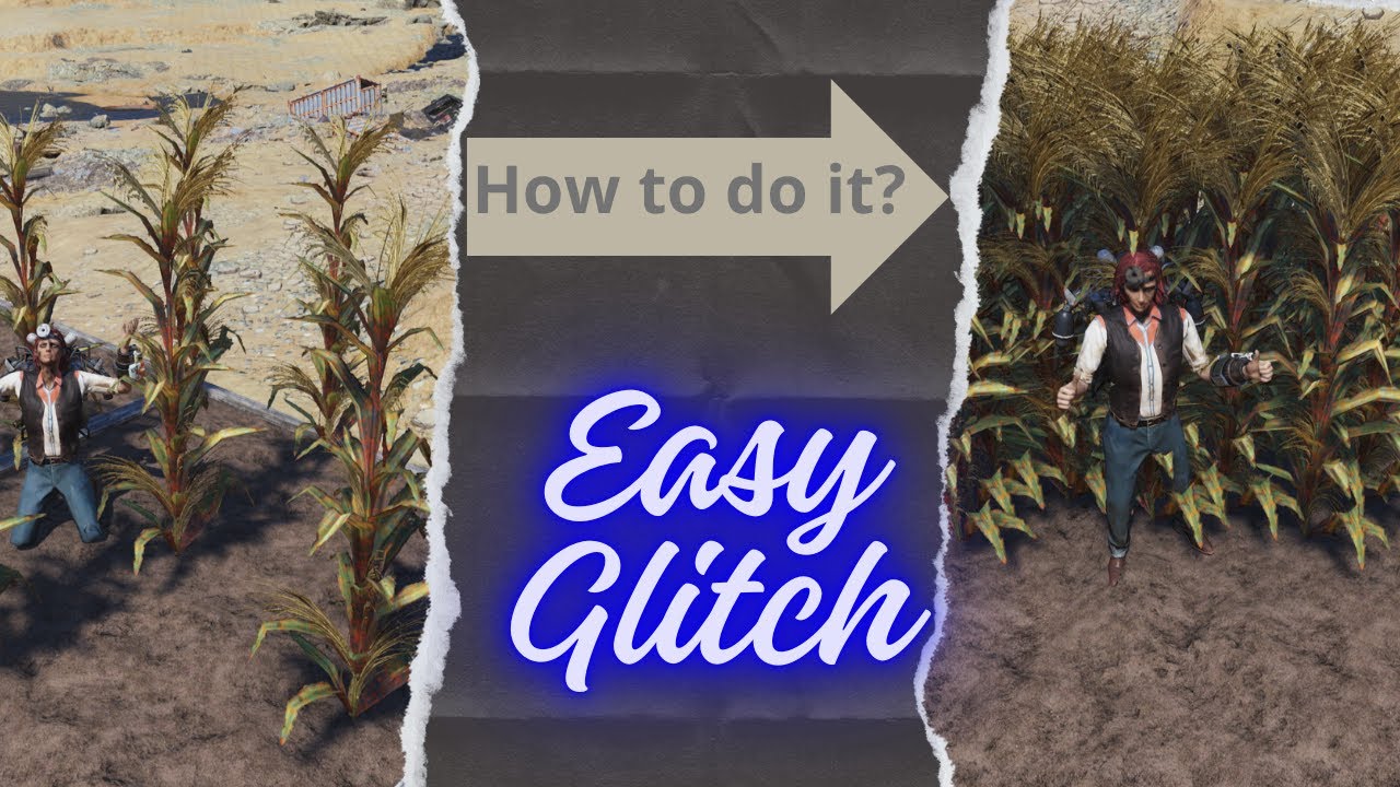 how to plant crops side by side? very simple way.