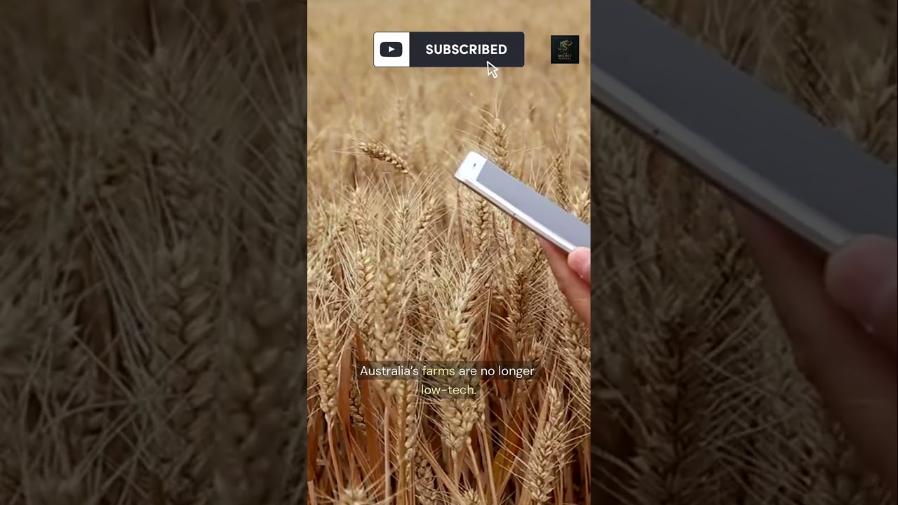 The Billion-Dollar Farm Upgrade in Australia